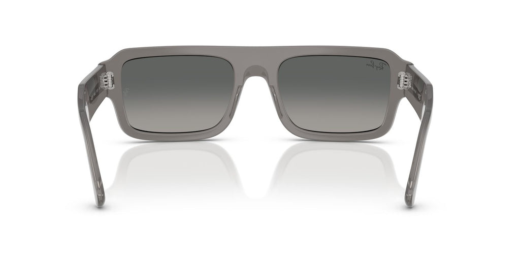 Ray-Ban | 0RB4454