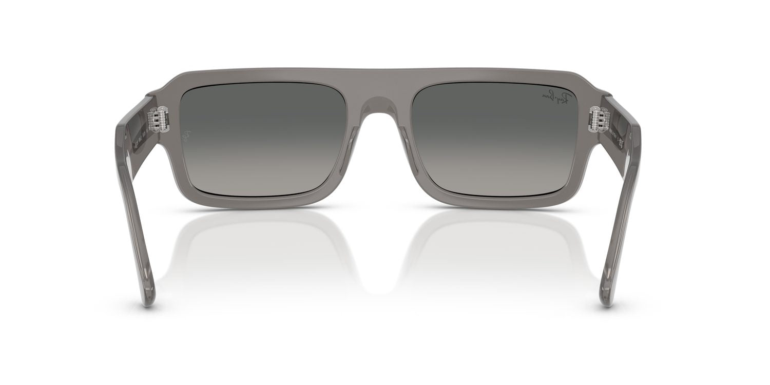 Ray-Ban | 0RB4454