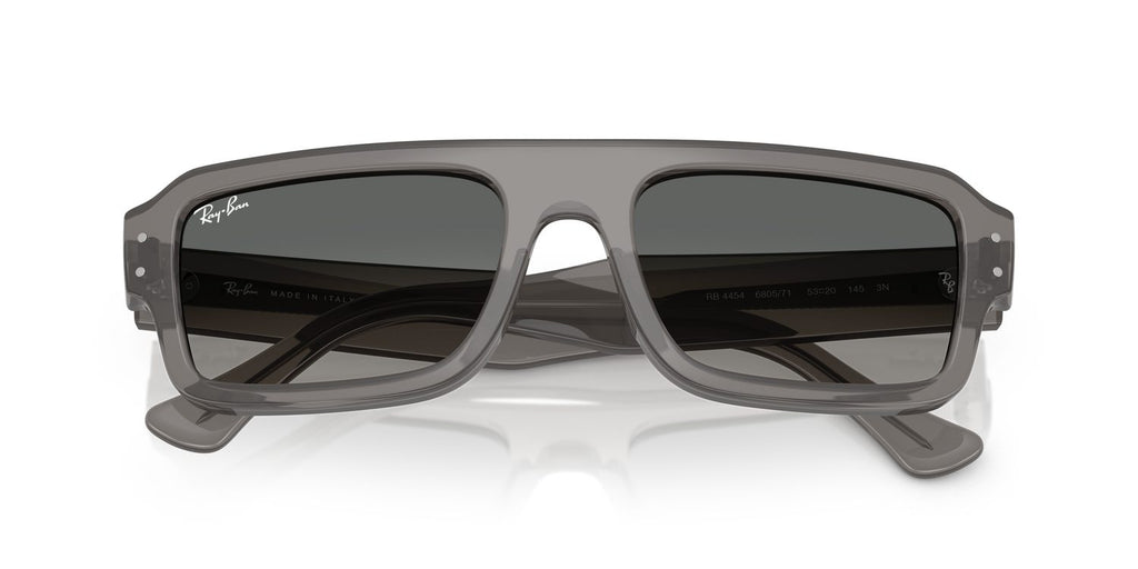 Ray-Ban | 0RB4454