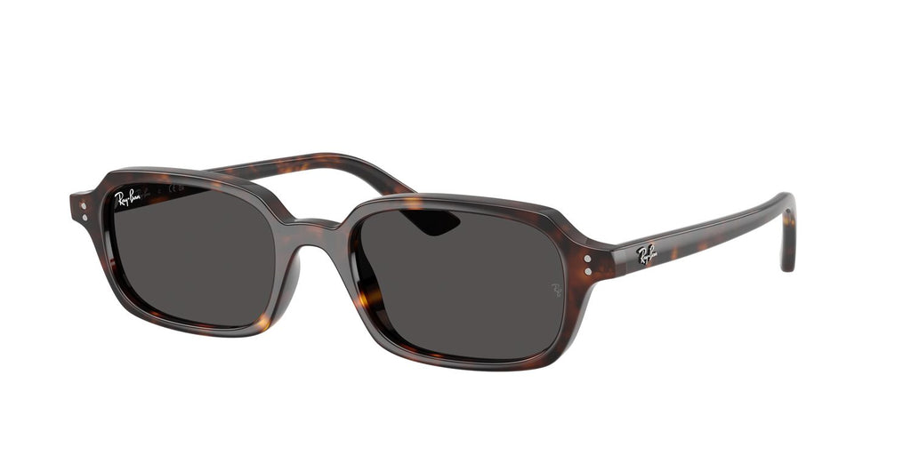 Ray-Ban | 0RB4455