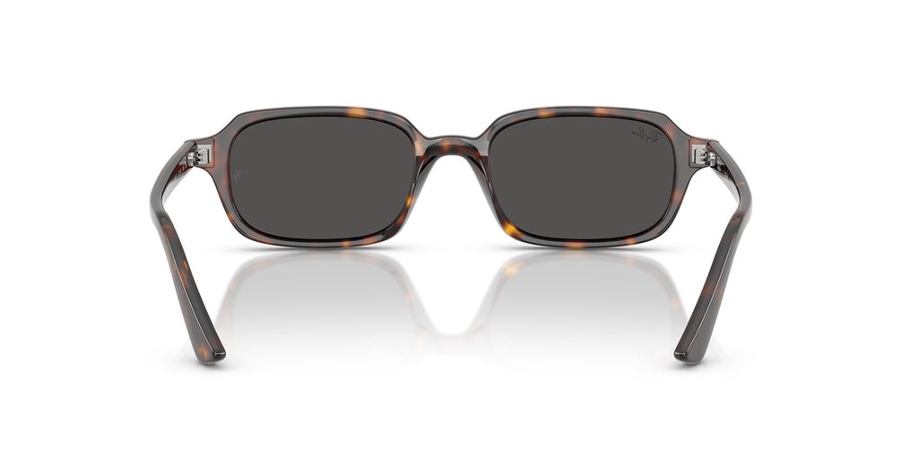 Ray-Ban | 0RB4455