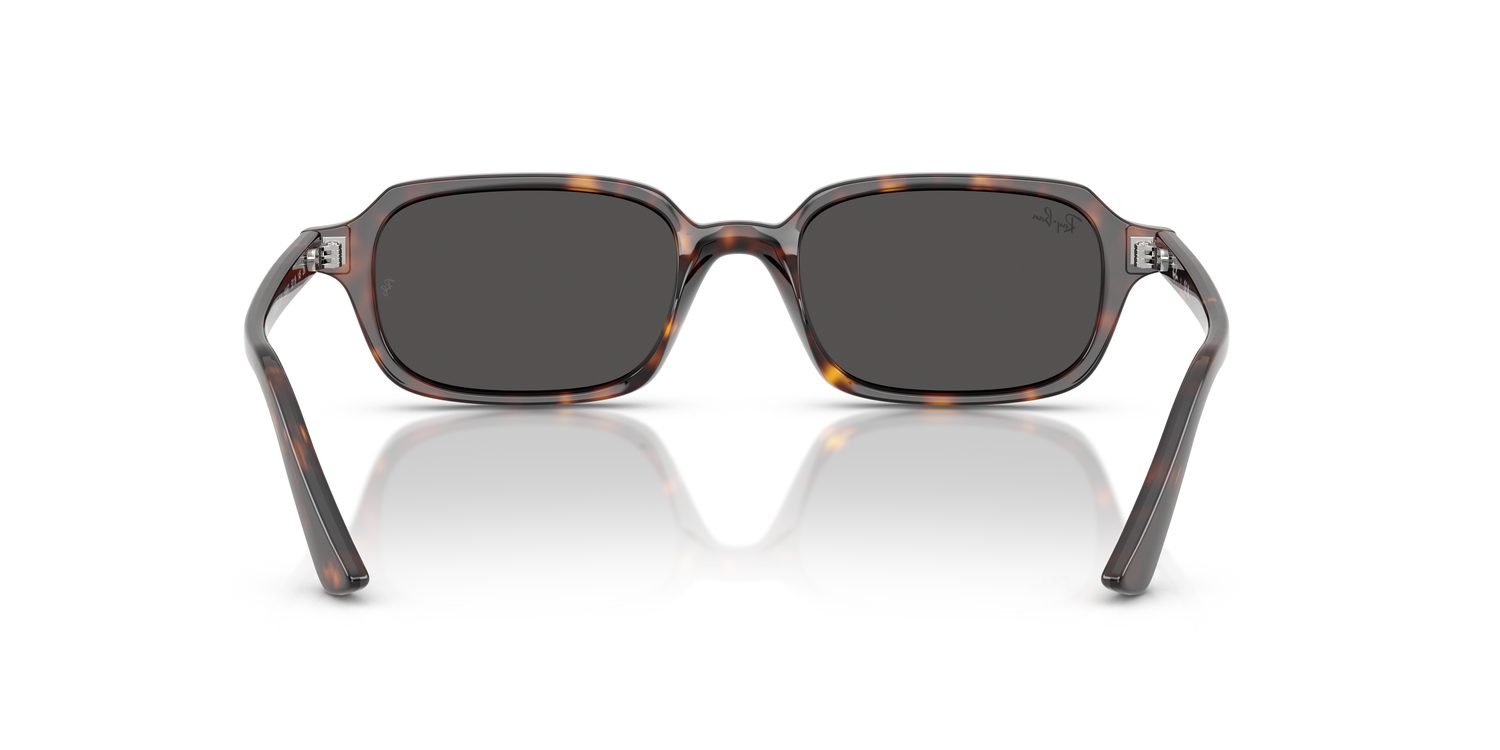 Ray-Ban | 0RB4455