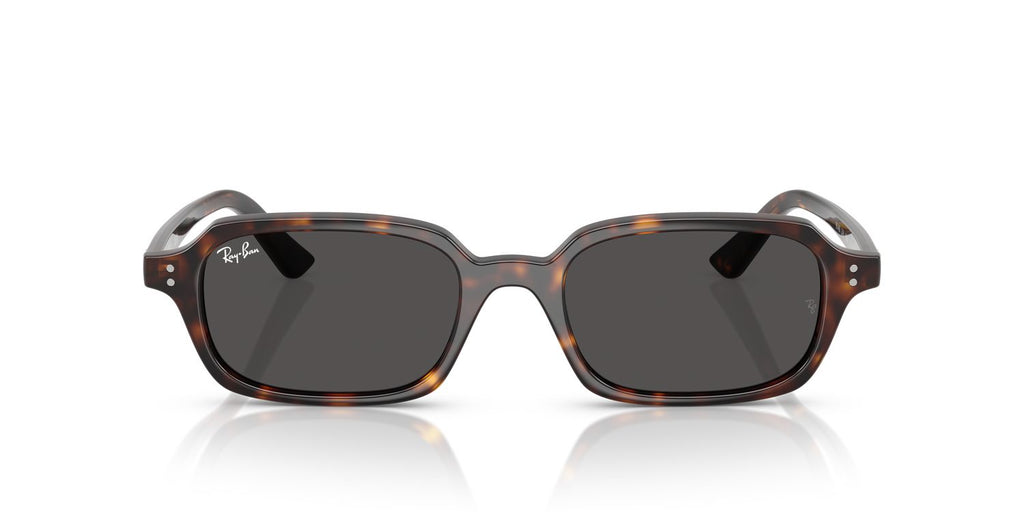 Ray-Ban | 0RB4455