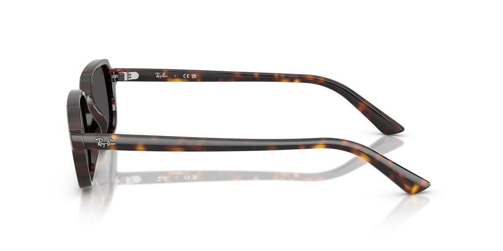 Ray-Ban | 0RB4455