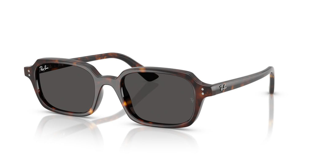 Ray-Ban | 0RB4455