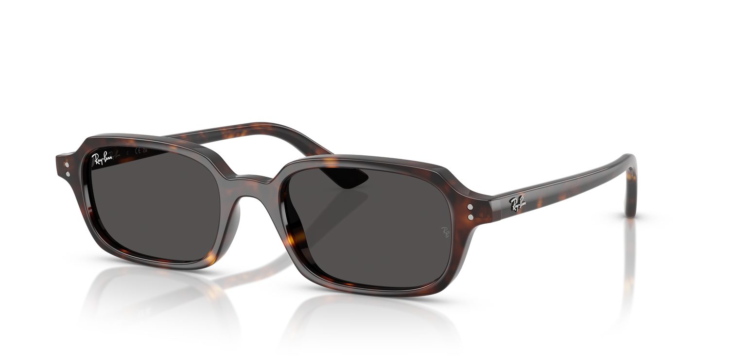 Ray-Ban | 0RB4455