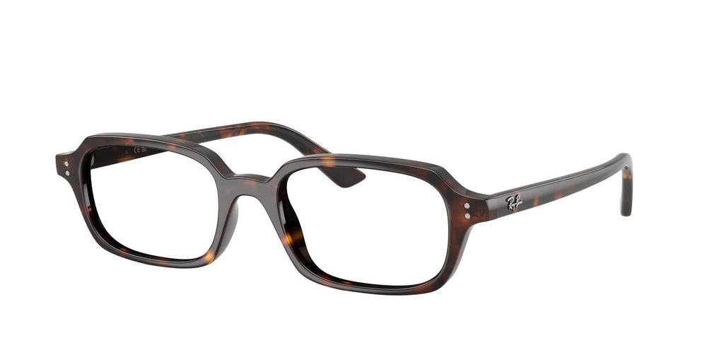 Ray-Ban | 0RB4455