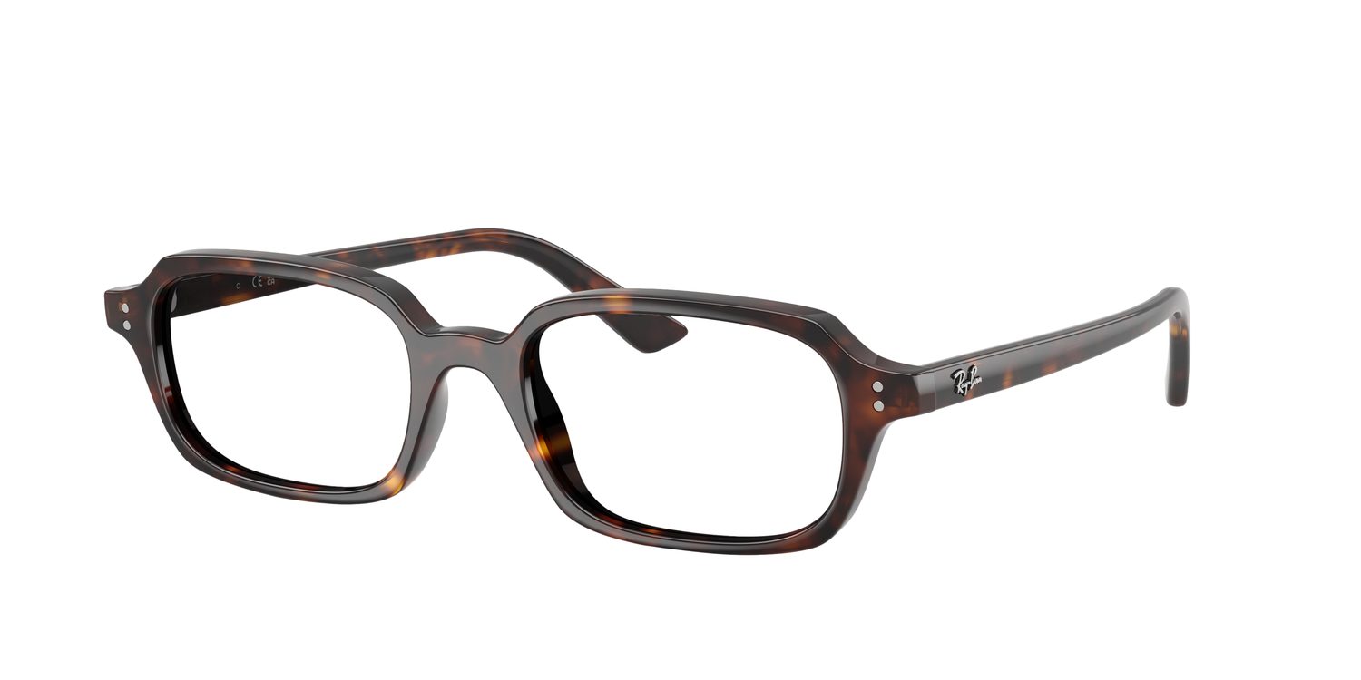Ray-Ban | 0RB4455