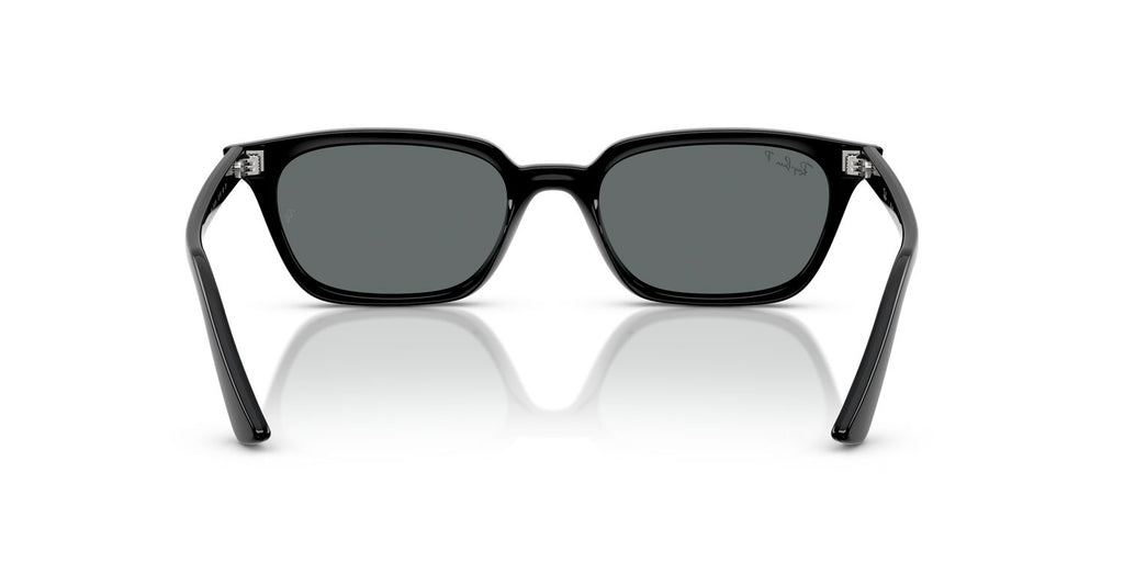 Ray-Ban | 0RB4456