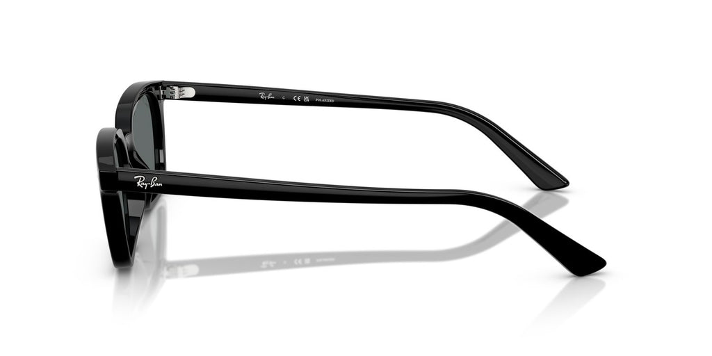 Ray-Ban | 0RB4456