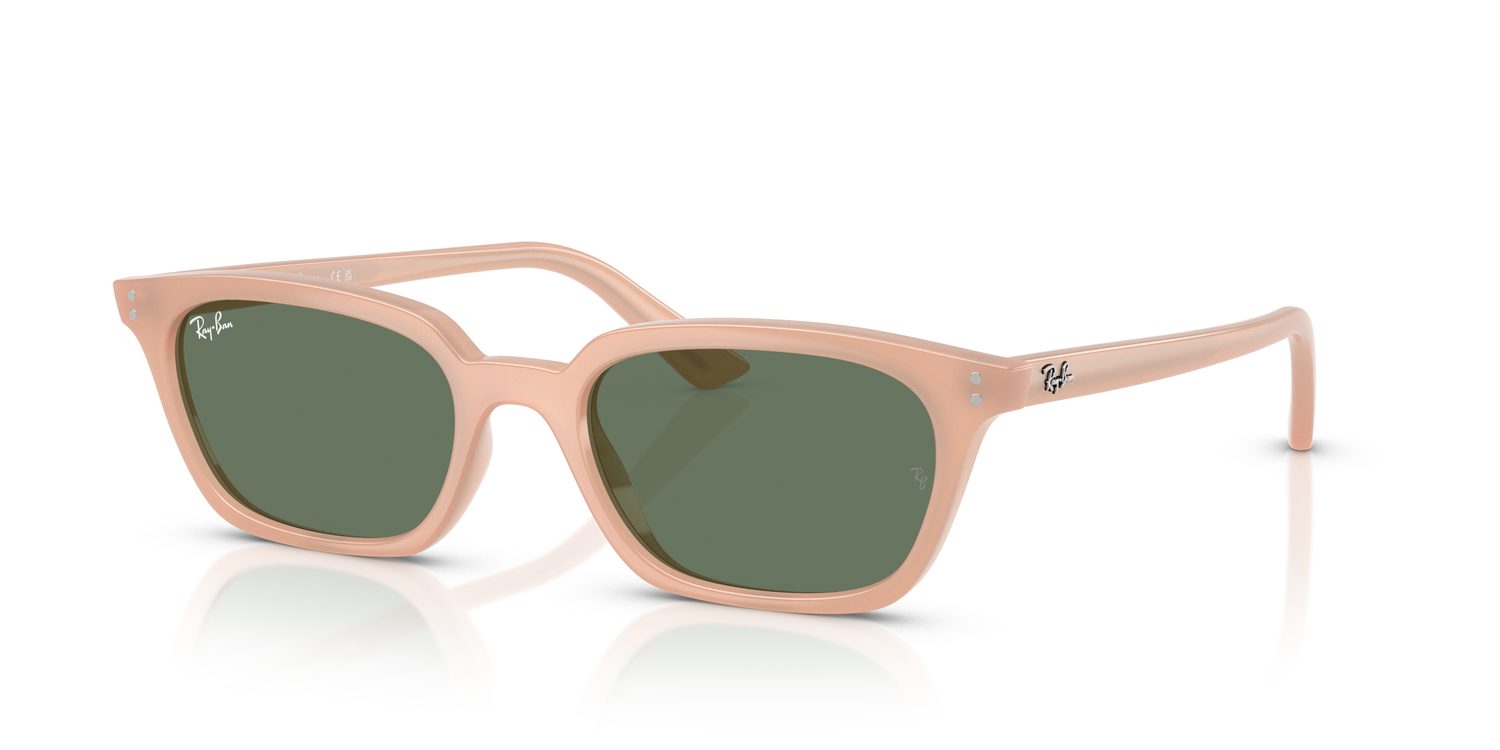 Ray-Ban | 0RB4456
