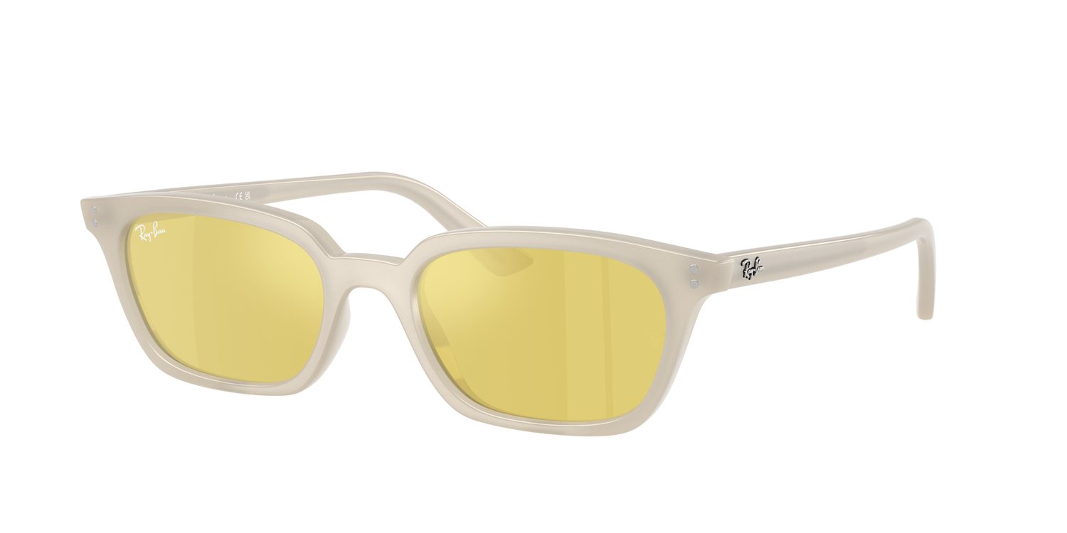 Ray-Ban | 0RB4456