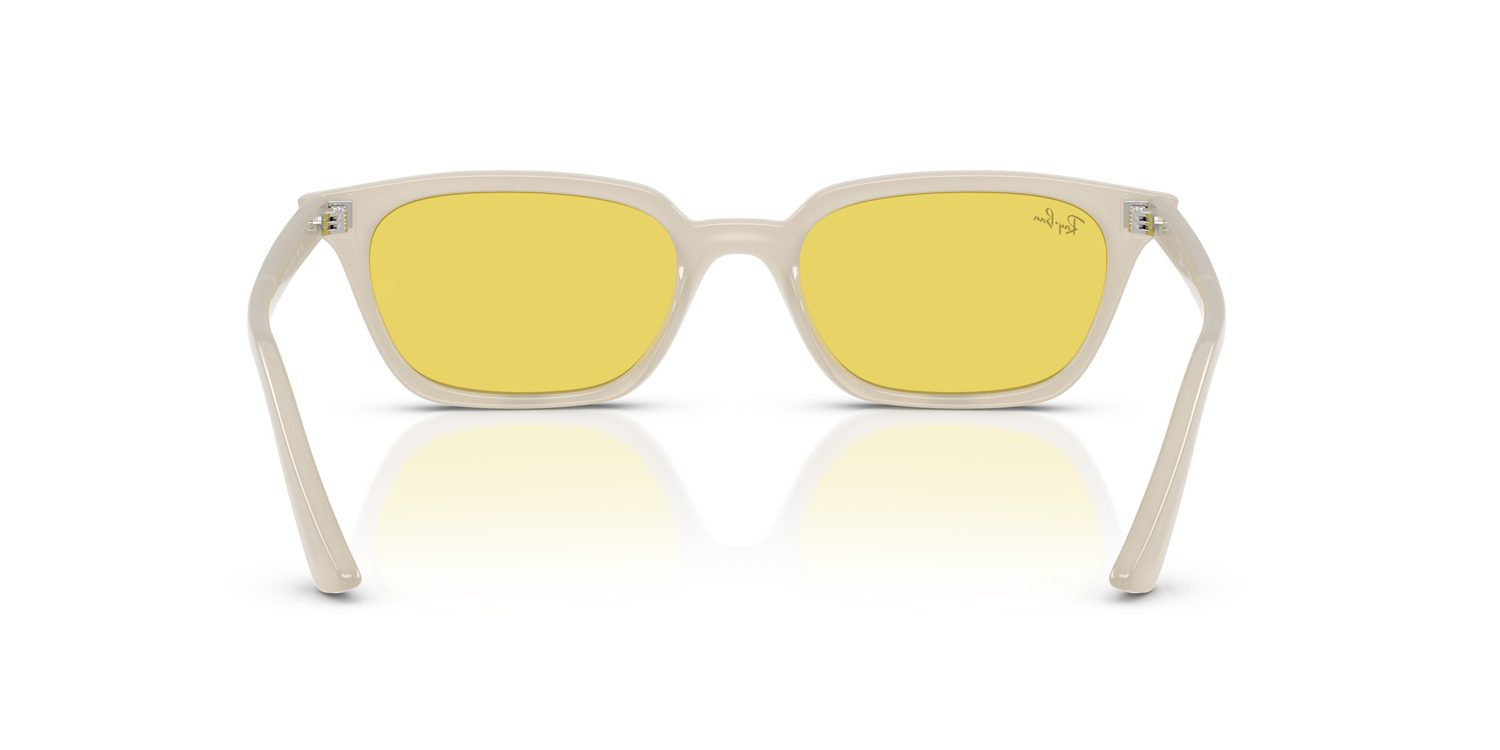 Ray-Ban | 0RB4456