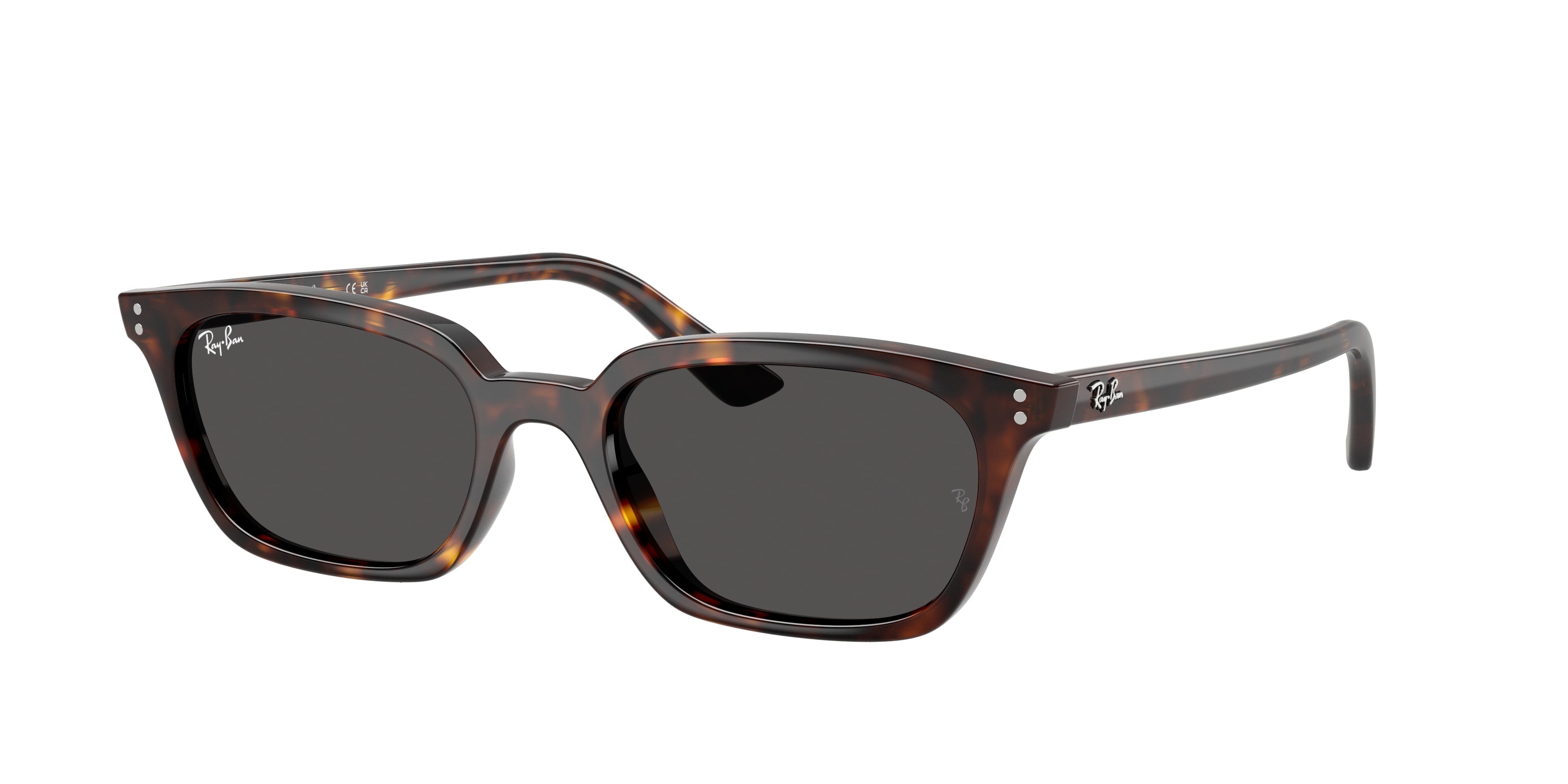 Ray-Ban | 0RB4456