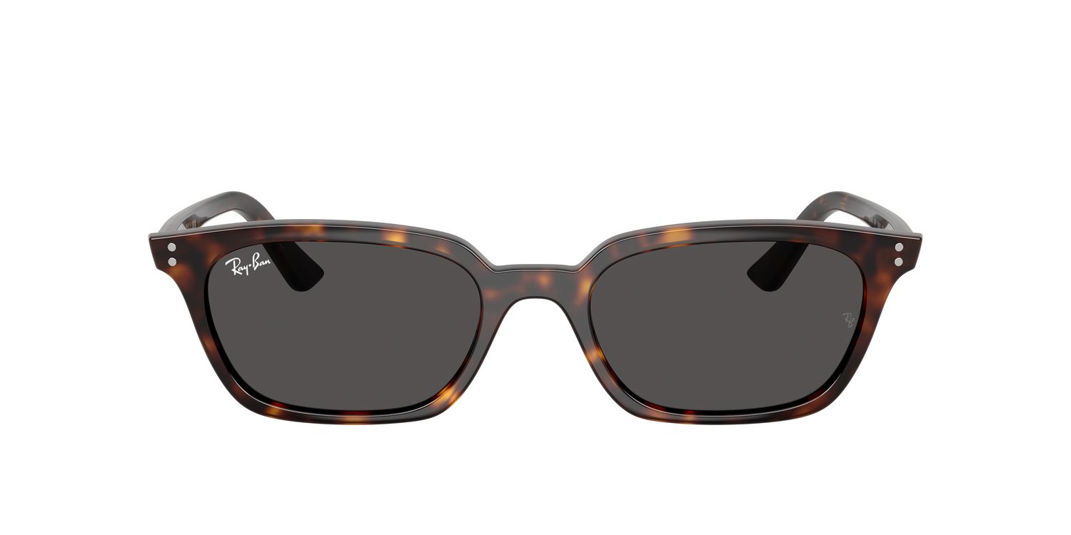 Ray-Ban | 0RB4456