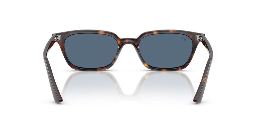 Ray-Ban | 0RB4456