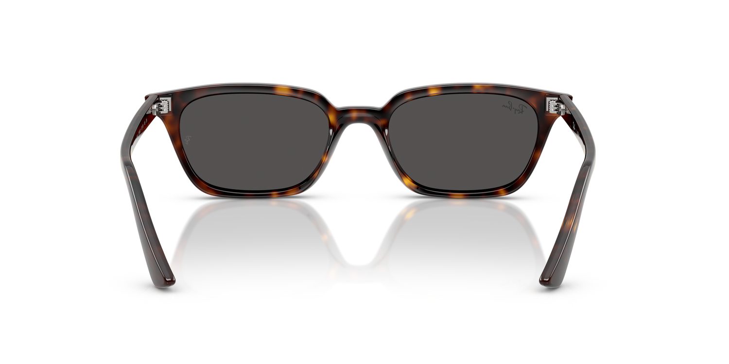 Ray-Ban | 0RB4456