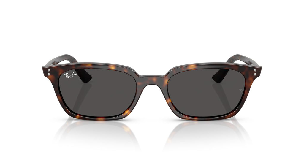 Ray-Ban | 0RB4456