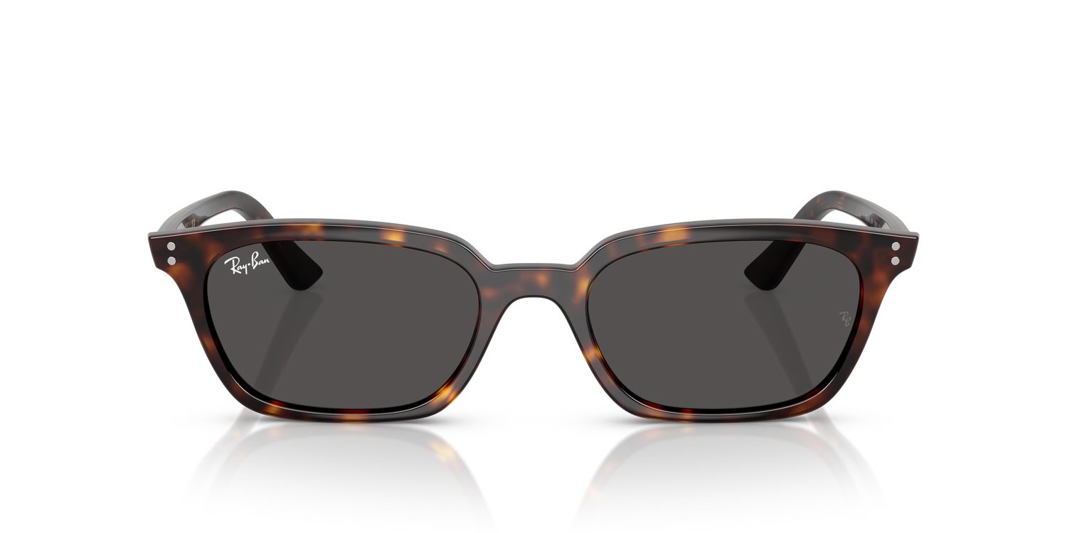 Ray-Ban | 0RB4456