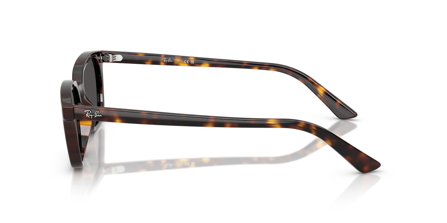 Ray-Ban | 0RB4456