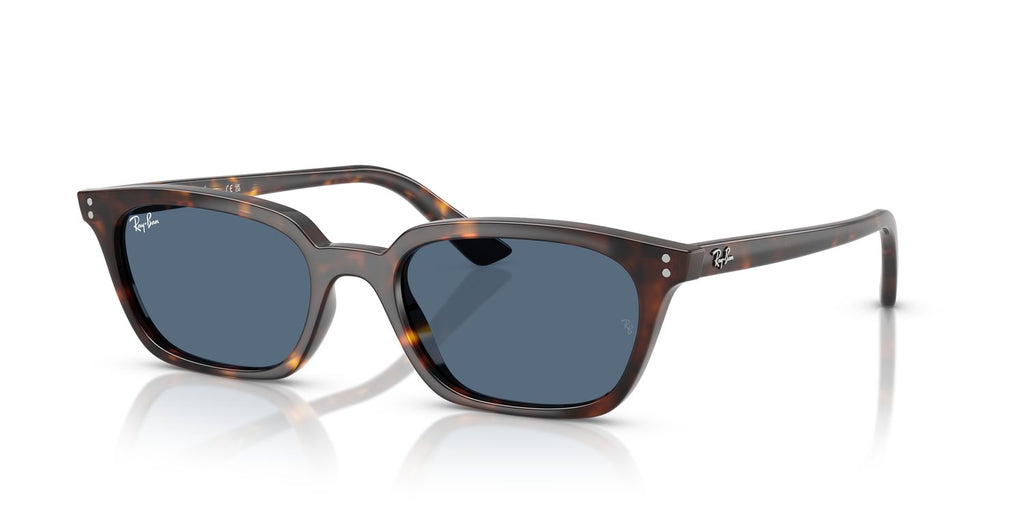 Ray-Ban | 0RB4456