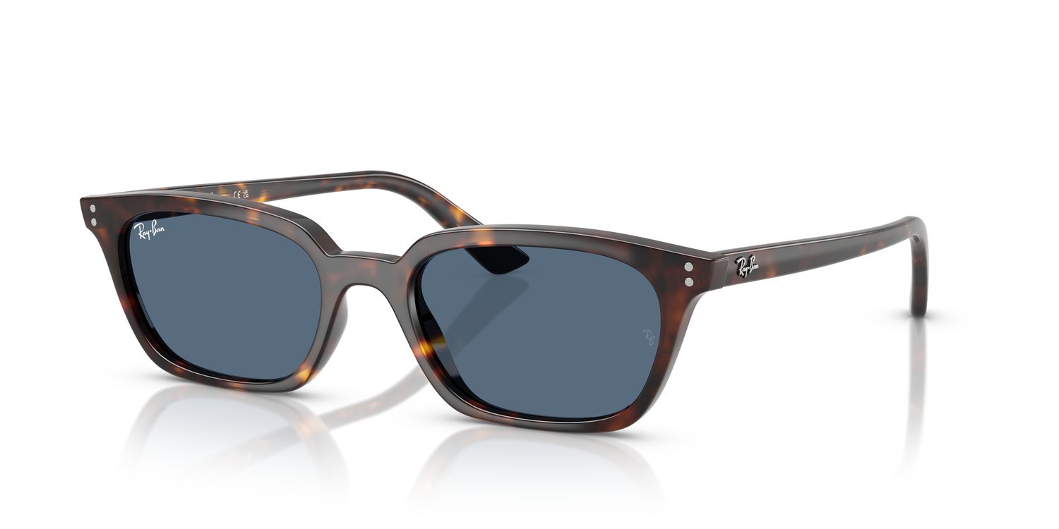 Ray-Ban | 0RB4456