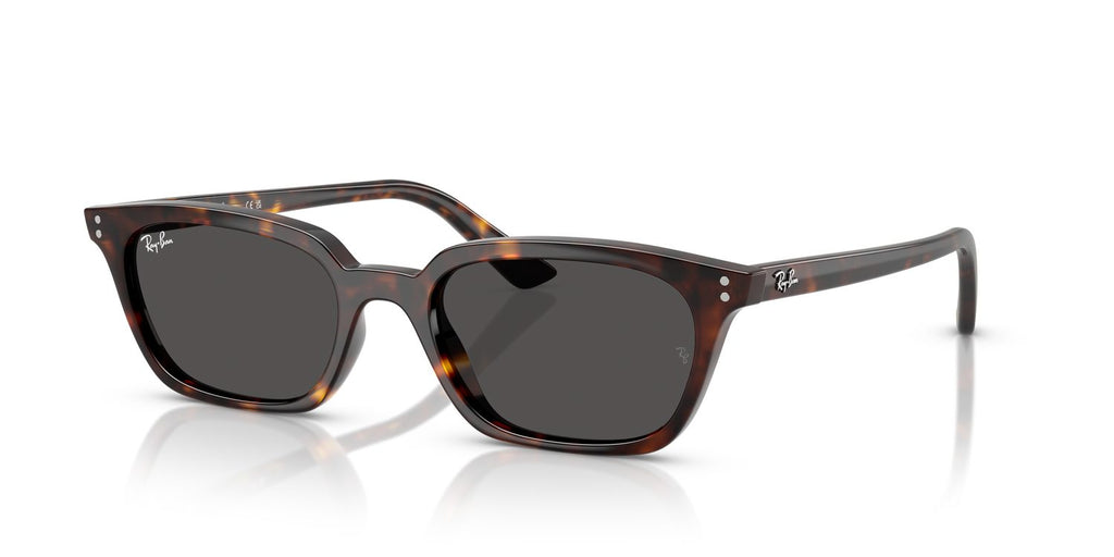 Ray-Ban | 0RB4456