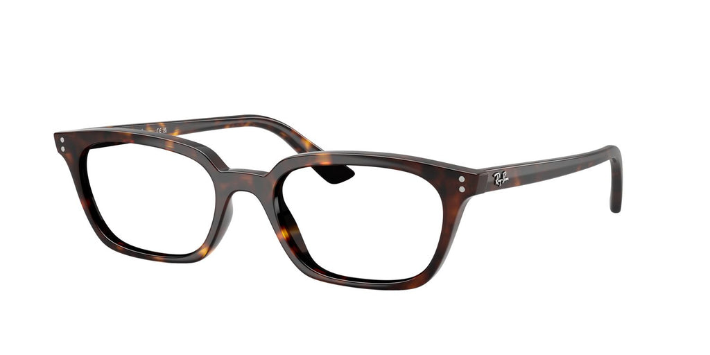 Ray-Ban | 0RB4456