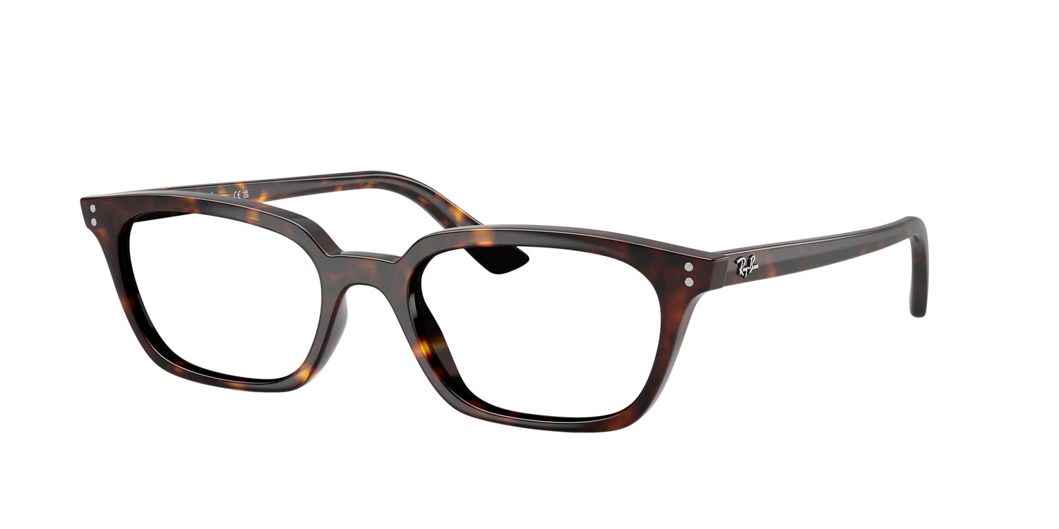 Ray-Ban | 0RB4456