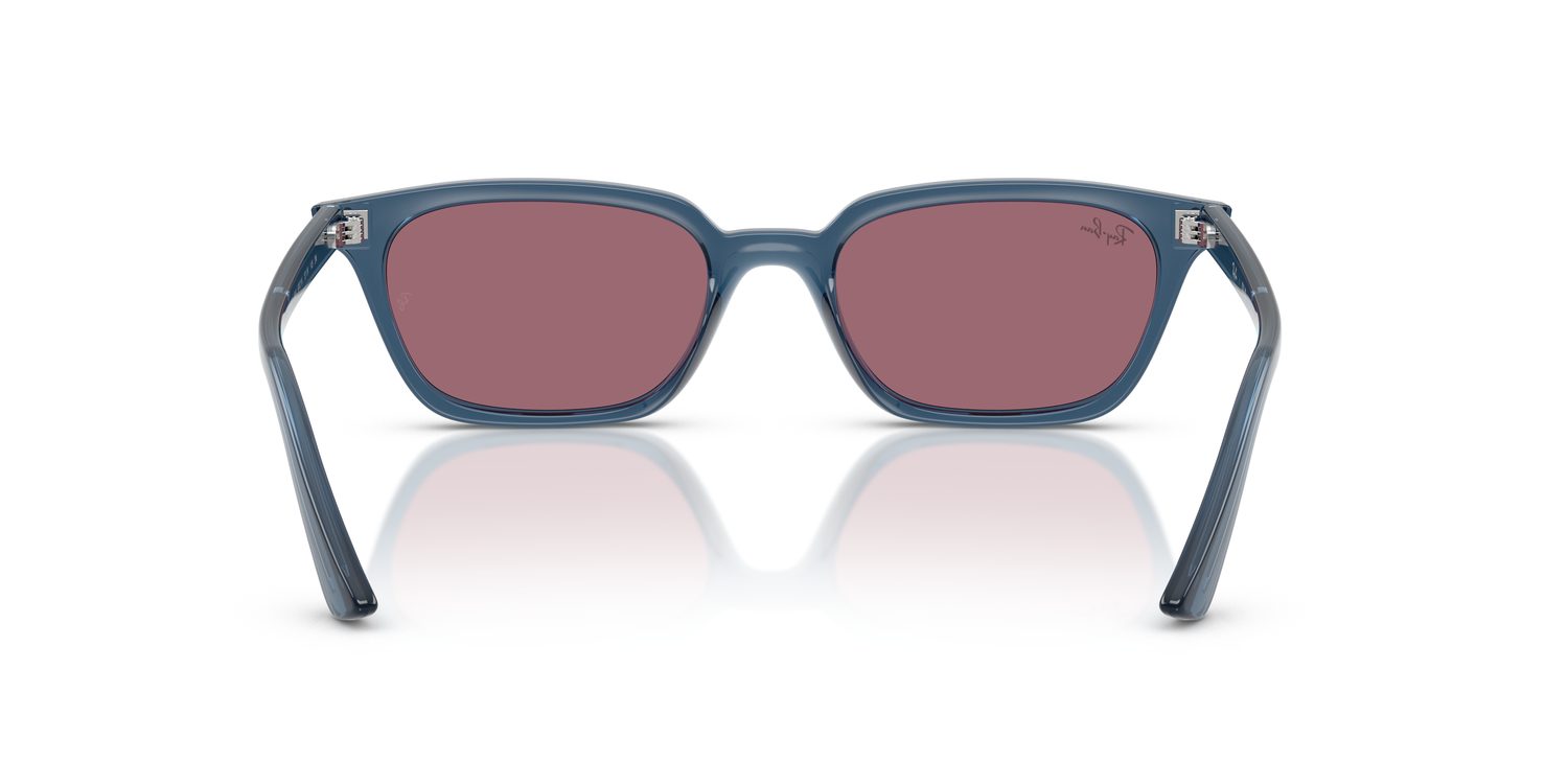 Ray-Ban | 0RB4456