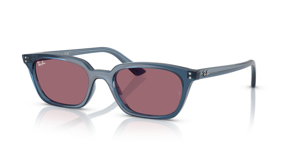 Ray-Ban | 0RB4456