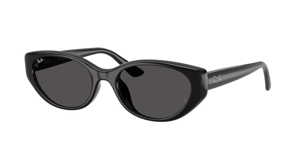 Ray-Ban | 0RB4457D