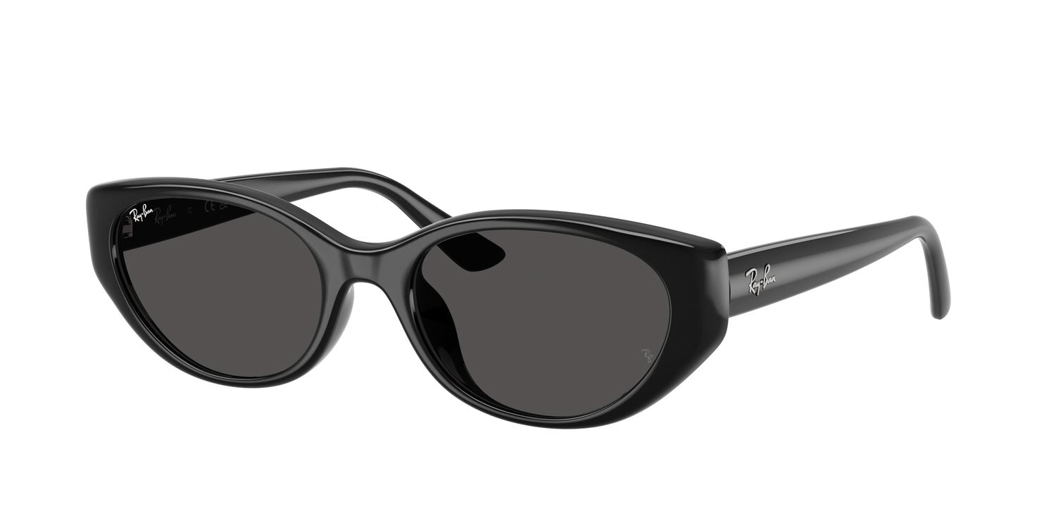 Ray-Ban | 0RB4457D