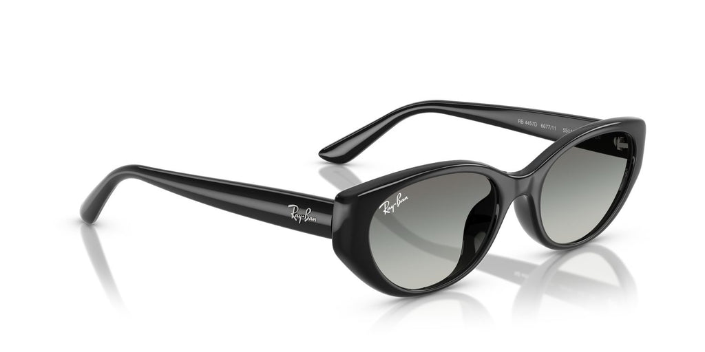 Ray-Ban | 0RB4457D