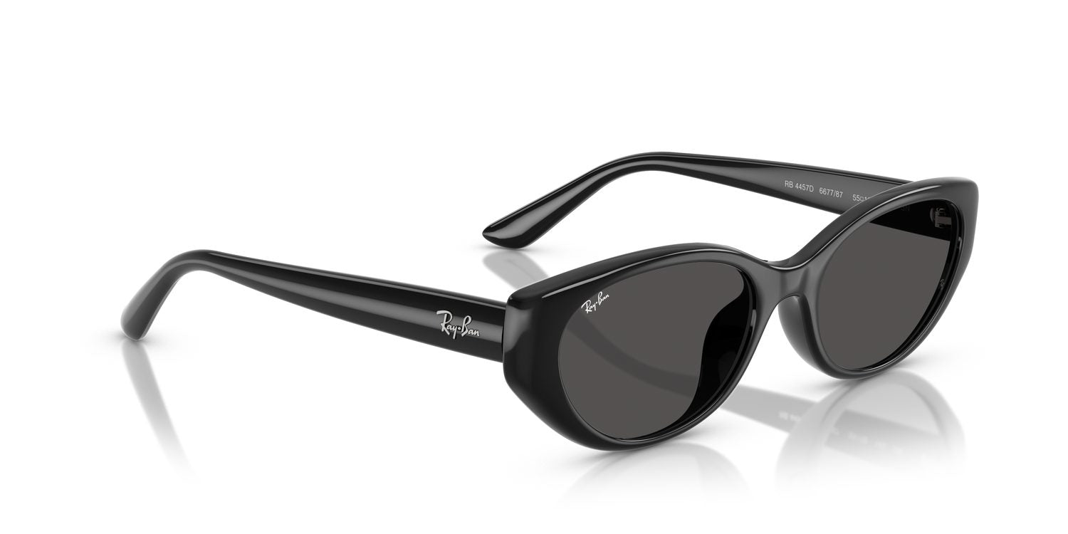 Ray-Ban | 0RB4457D