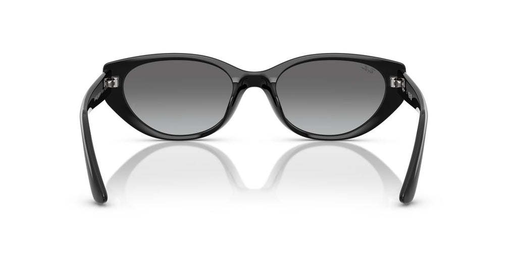 Ray-Ban | 0RB4457D