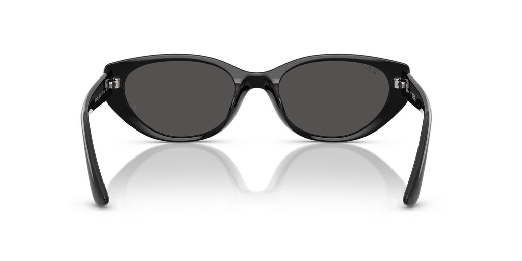 Ray-Ban | 0RB4457D