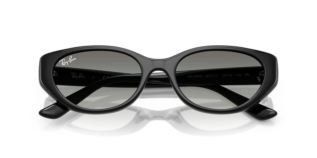 Ray-Ban | 0RB4457D