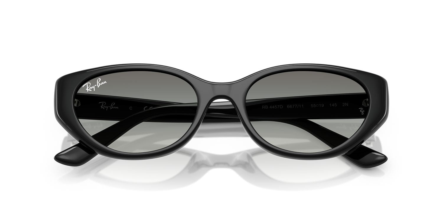 Ray-Ban | 0RB4457D
