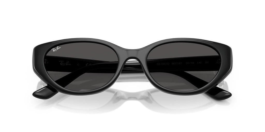 Ray-Ban | 0RB4457D