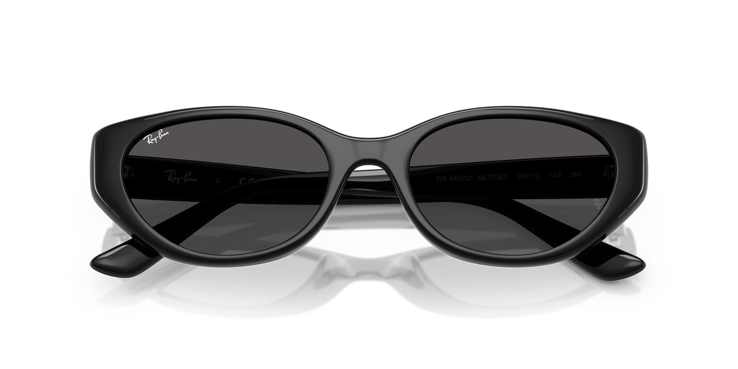 Ray-Ban | 0RB4457D