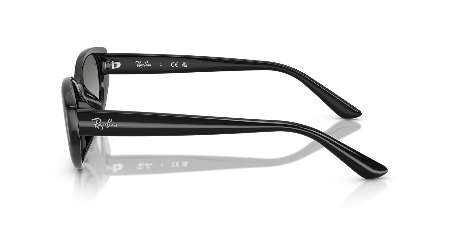 Ray-Ban | 0RB4457D