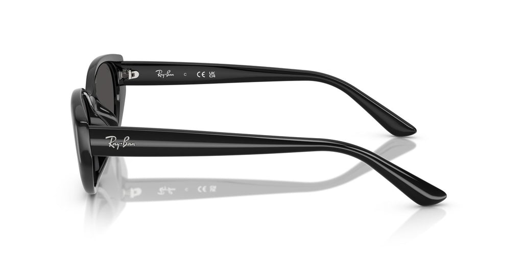 Ray-Ban | 0RB4457D