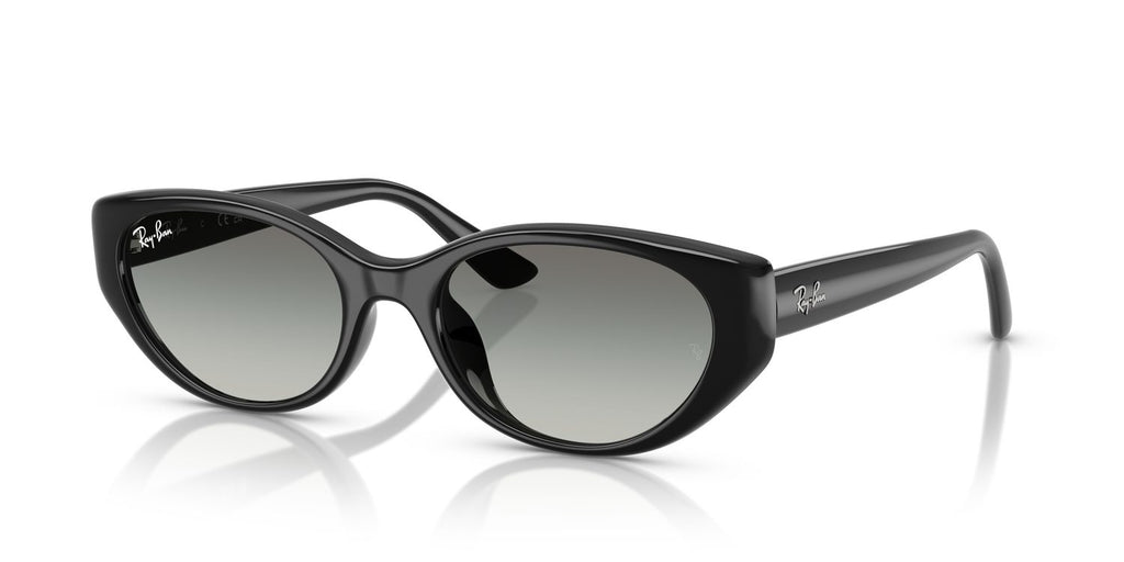 Ray-Ban | 0RB4457D