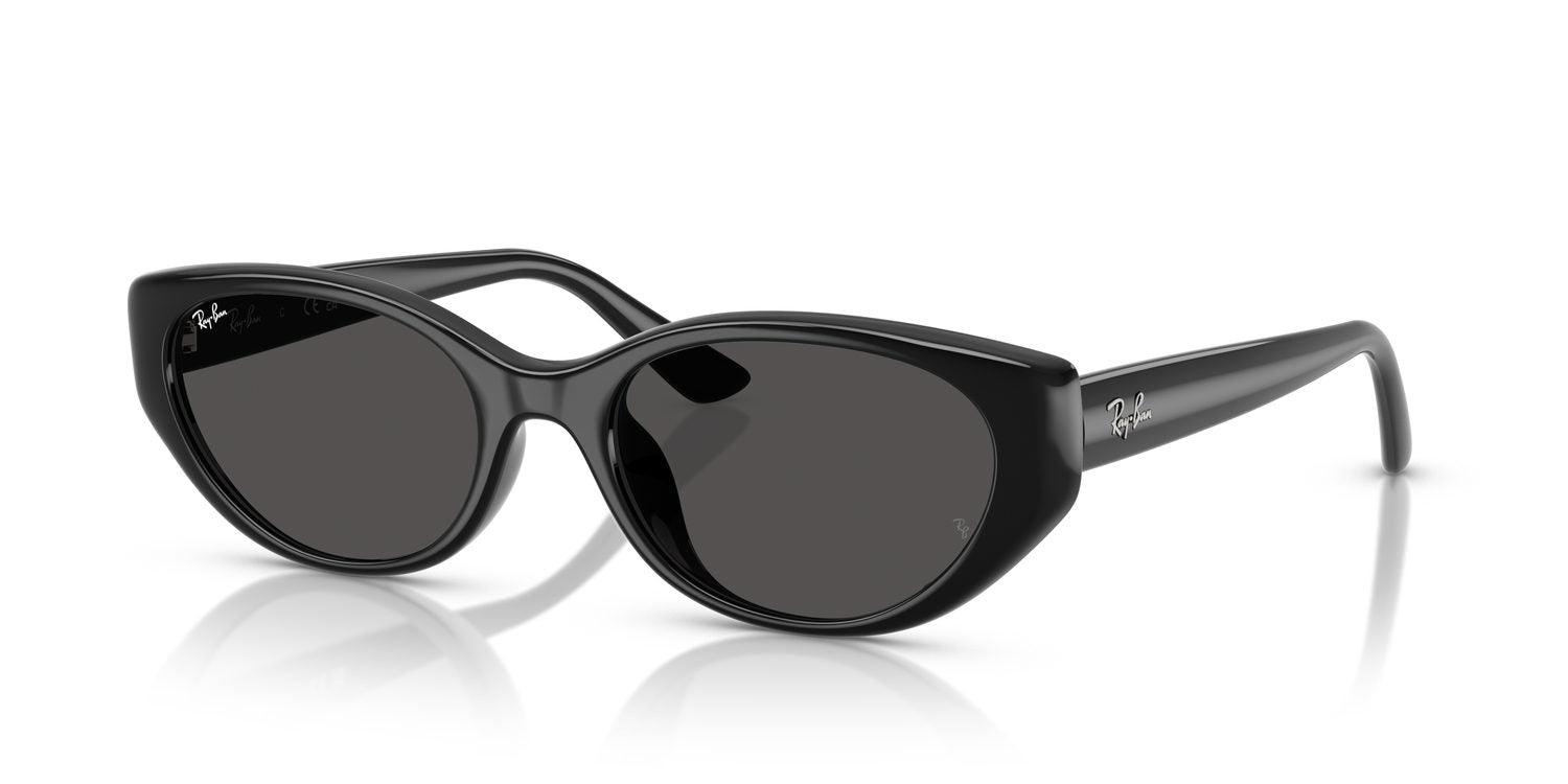Ray-Ban | 0RB4457D