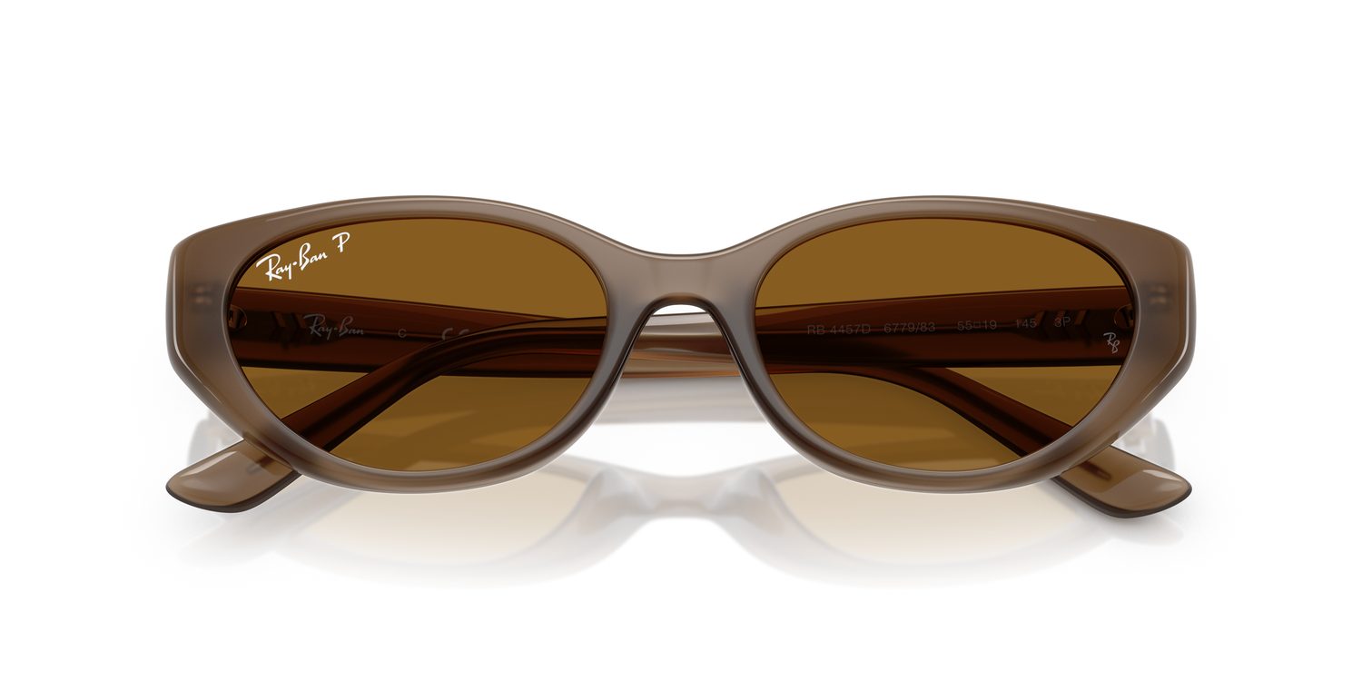 Ray-Ban | 0RB4457D