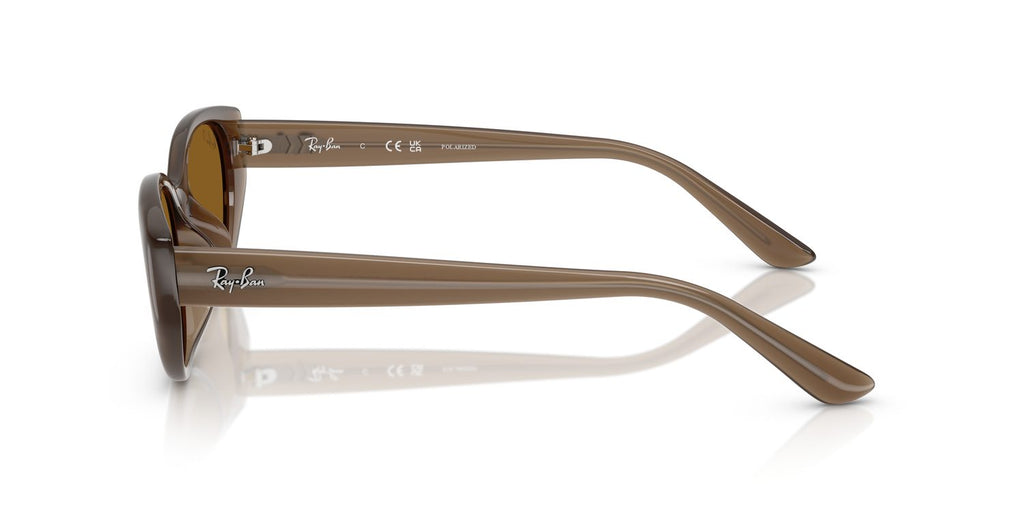 Ray-Ban | 0RB4457D