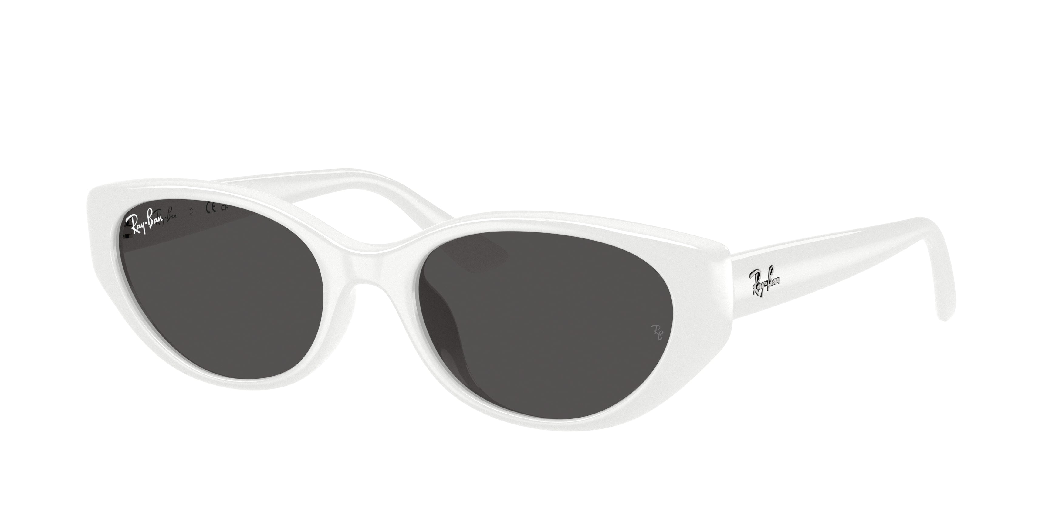 Ray-Ban | 0RB4457D