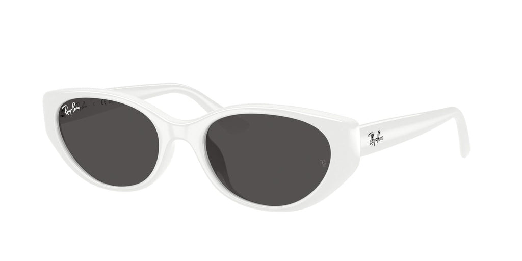 Ray-Ban | 0RB4457D