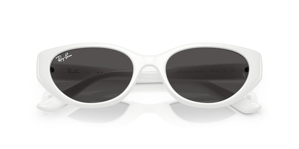 Ray-Ban | 0RB4457D